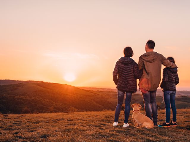 Family On A Hill Watching Sunset