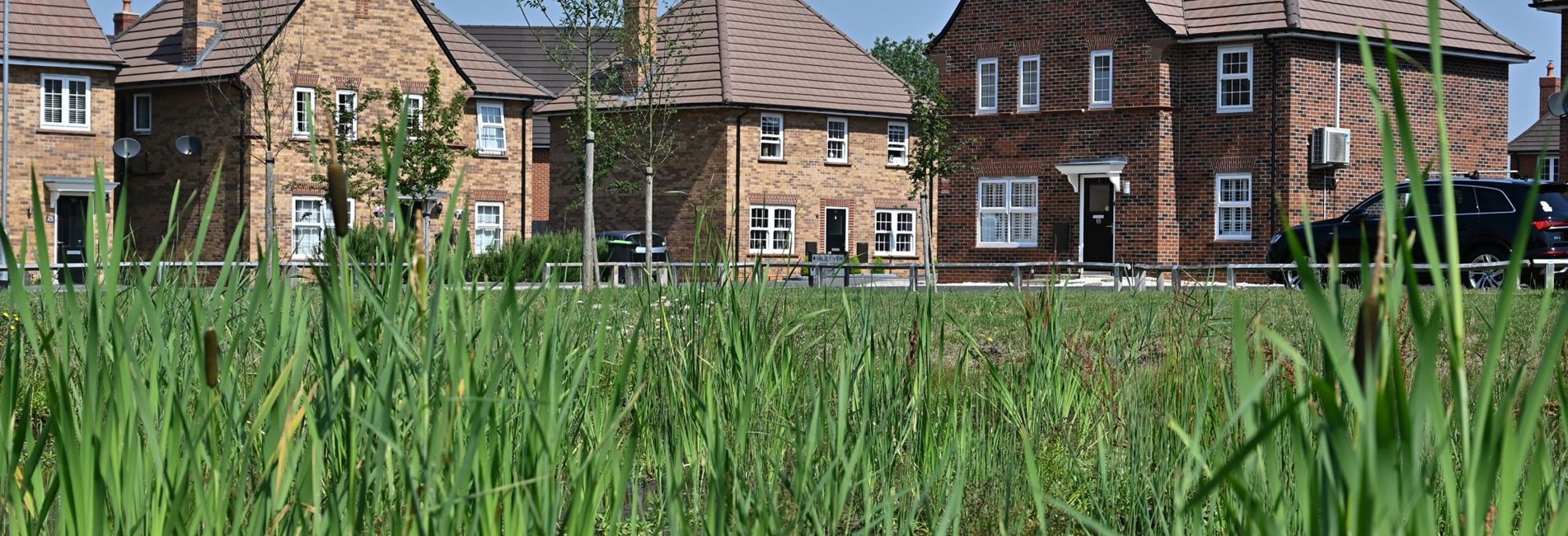 Persimmon Stewartsby 103