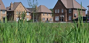 Persimmon Stewartsby 103